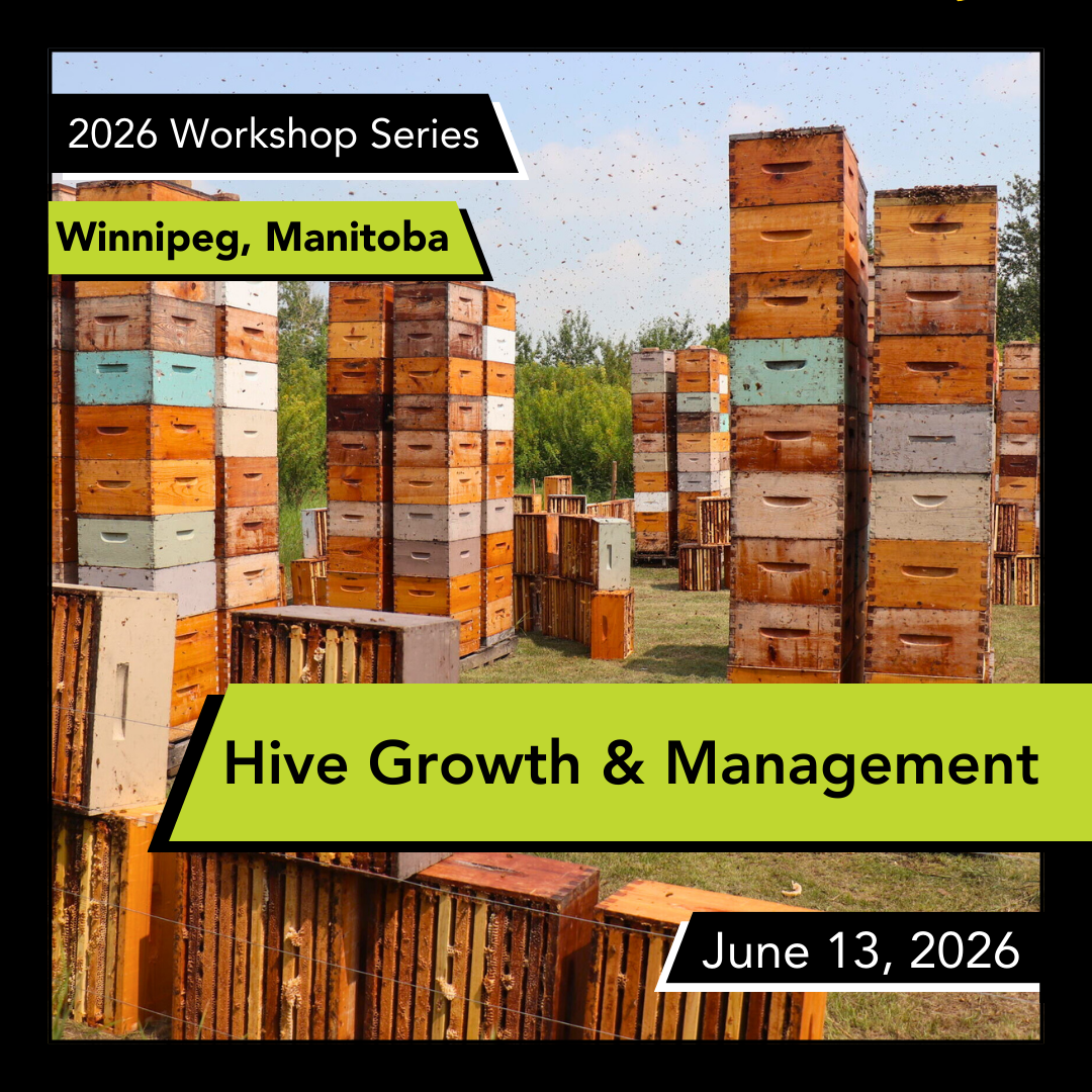 Hive growth and management workshop series in Winnipeg, Manitoba with stacks of wooden beehives.
