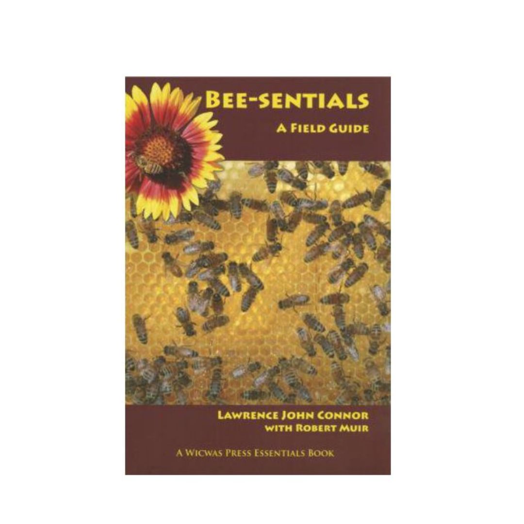 Cover of 'Bee-sentials: A Field Guide' featuring an image of honeycomb with bees on it, titled with the author names Lawrence Tomlinson and Robert Avis on a white background