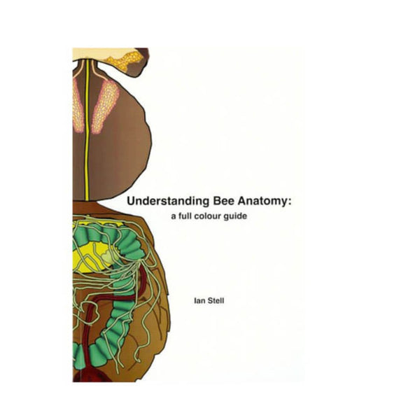 Understanding Bee Anatomy
