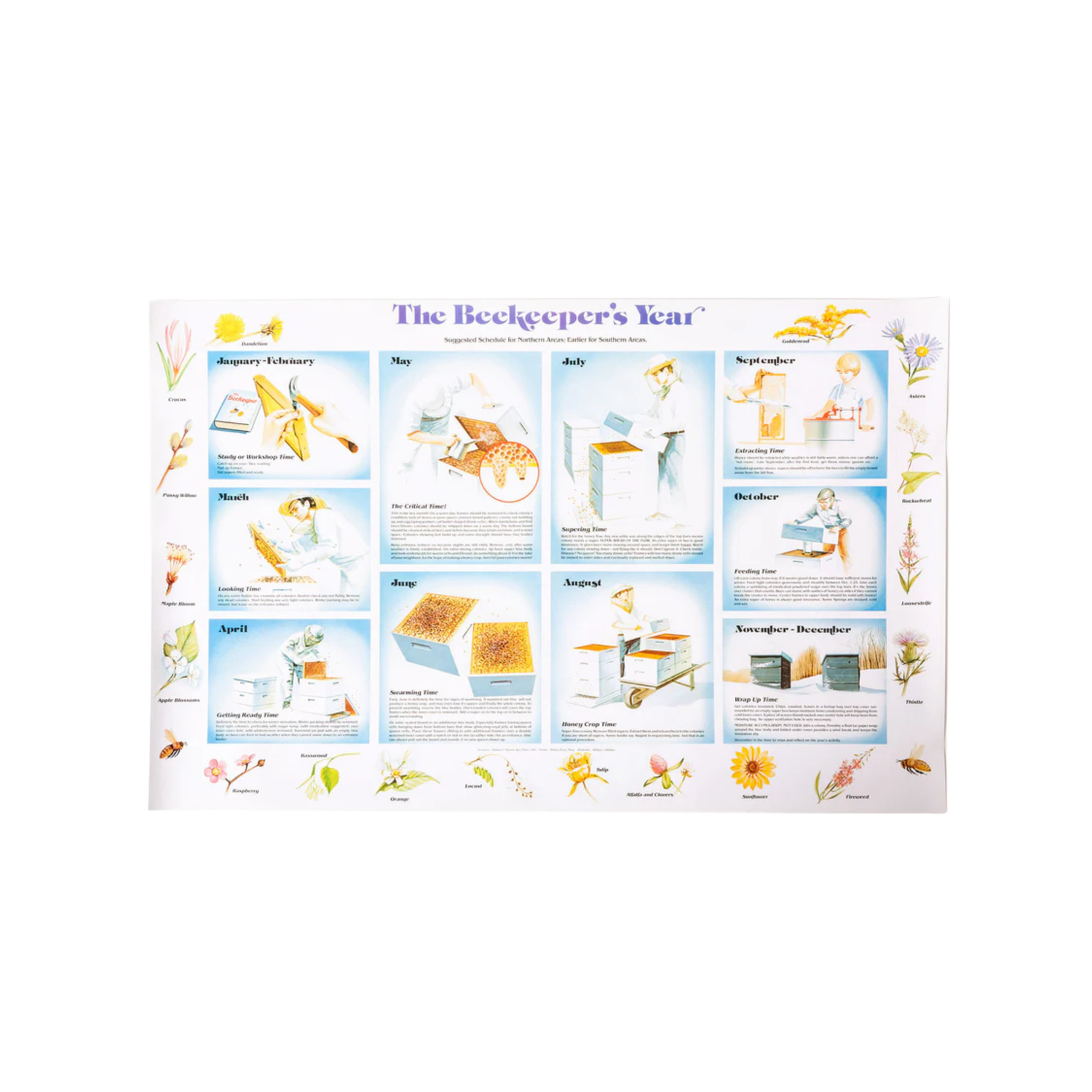 Illustrated calendar for 'The Beekeeper's Year' with various beekeeping activities and tools.