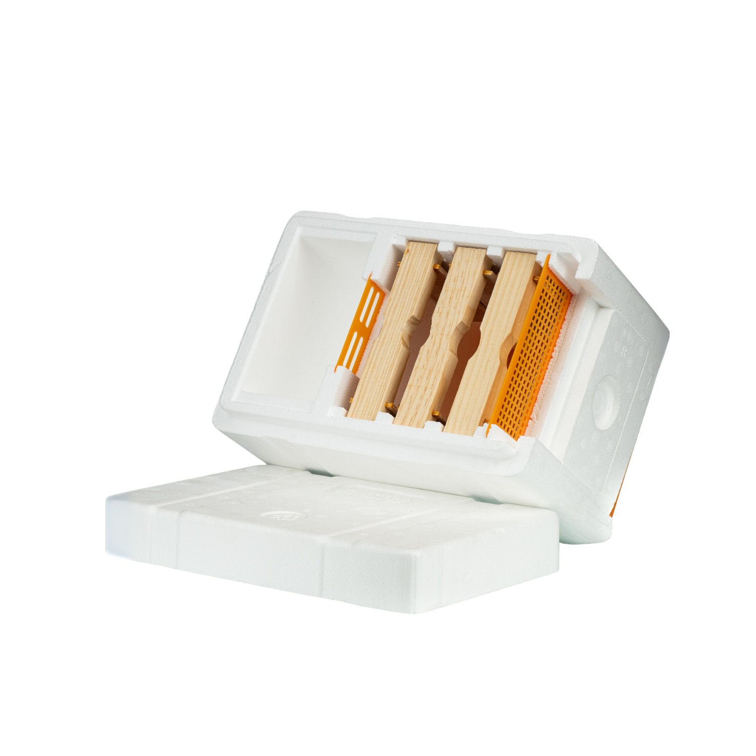 A white, Styrofoam nuc box with the top resting beside to display the interior, on a white background