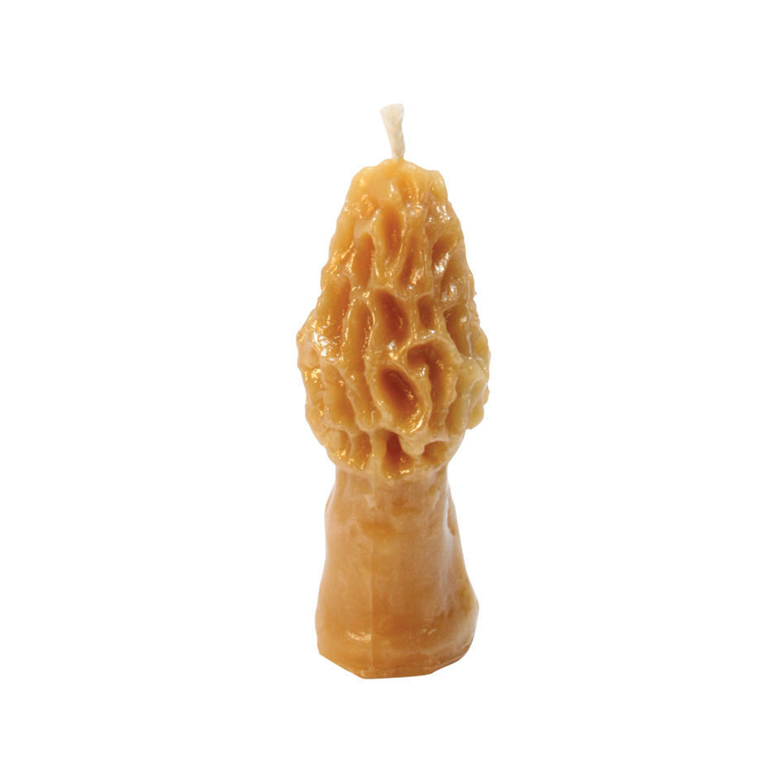 Example of moral mushroom beeswax candle created from advertised mold on a white background