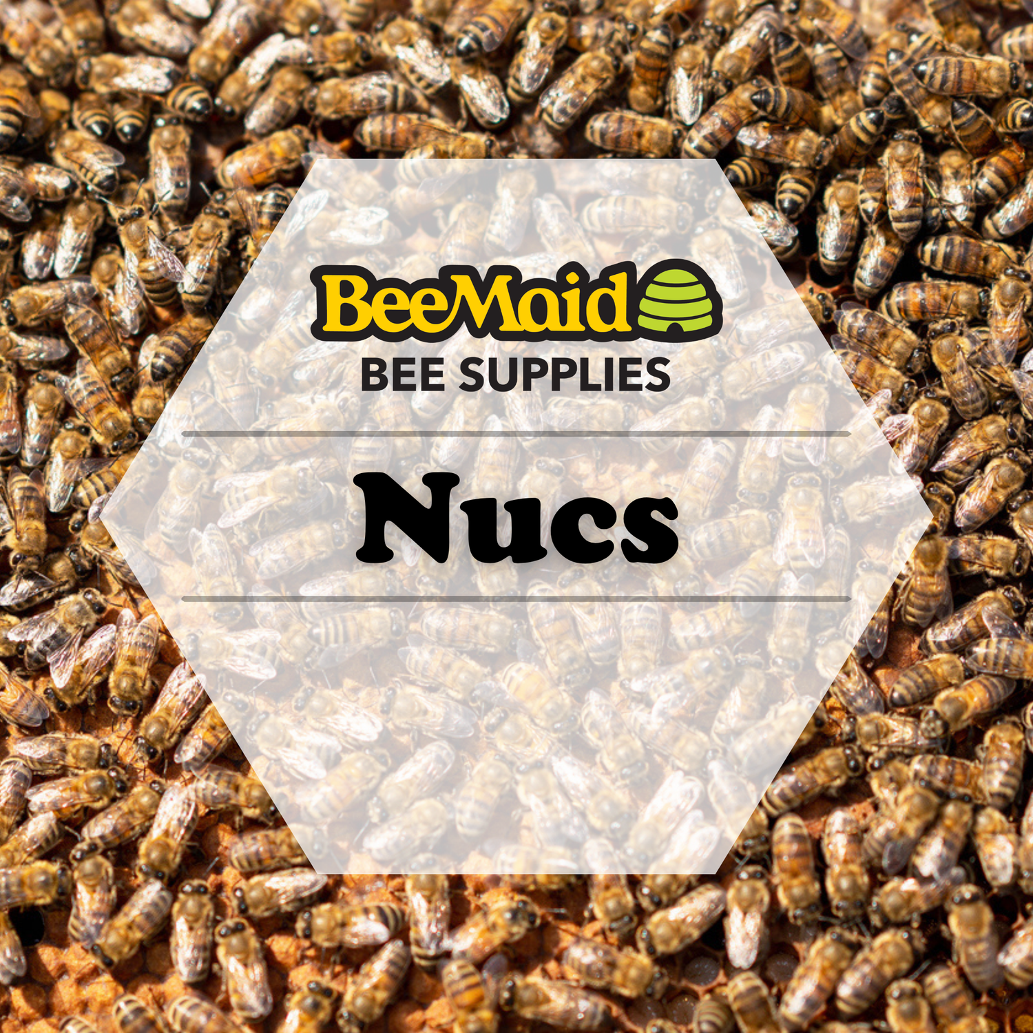 BeeMaid Bee Supplies promo graphic with