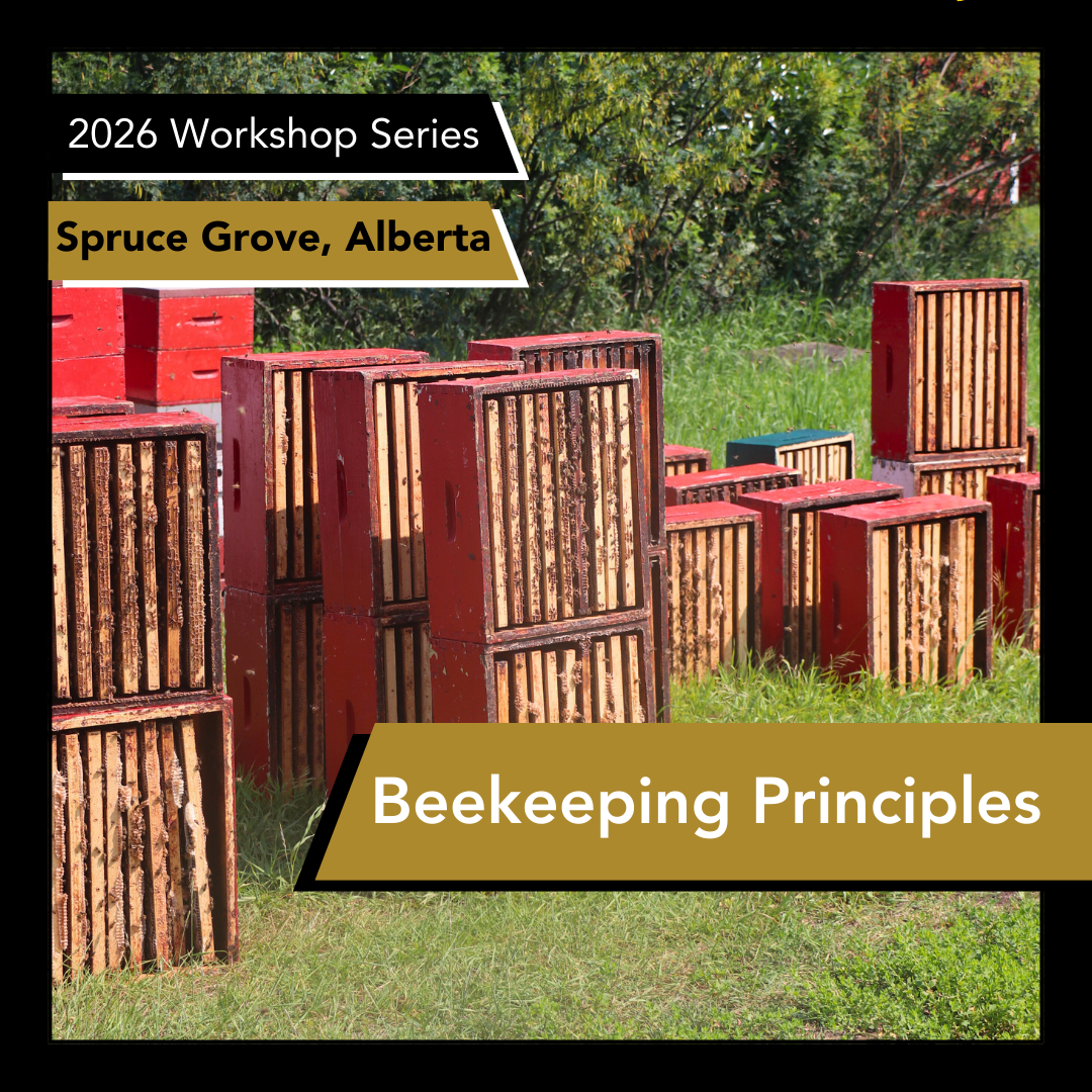 Promotional graphic for beekeeping workshops in Spruce Grove, Alberta with red bee boxes in the background.