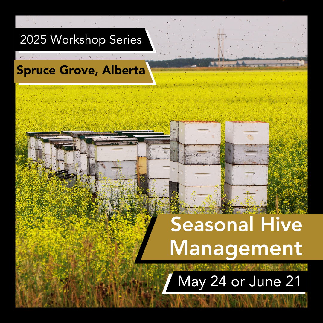 Seasonal Hive Management Workshop