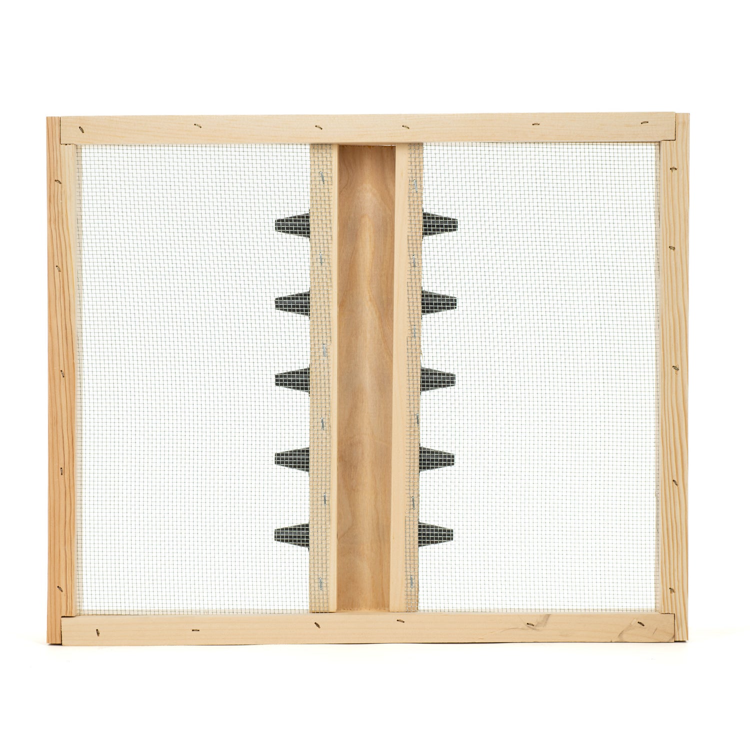 A wooden frame with a wire mesh screen and plastic bee escape cones arranged in a conical style.