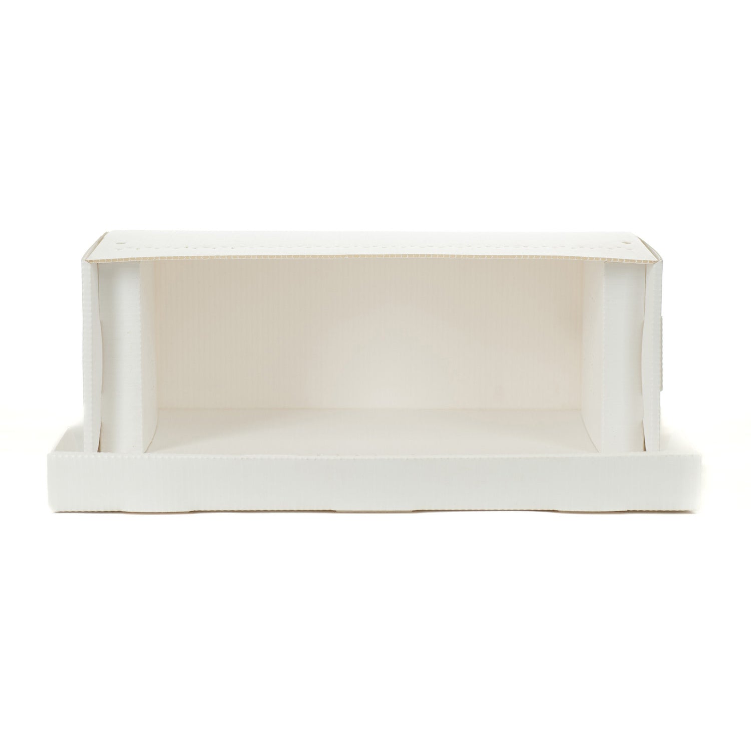 An inside view of a white, corrugated plastic nuc box designed for beekeeping.