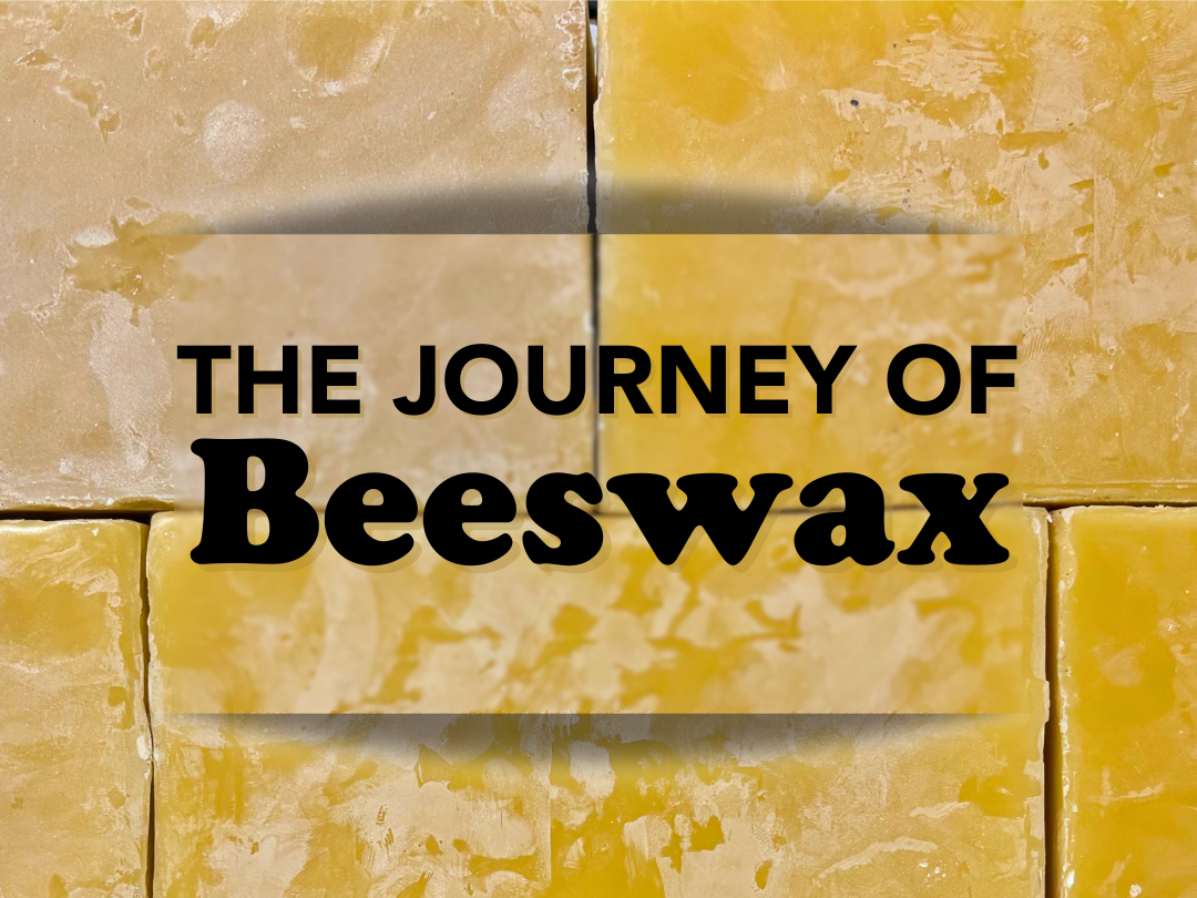 A graphic with the words 