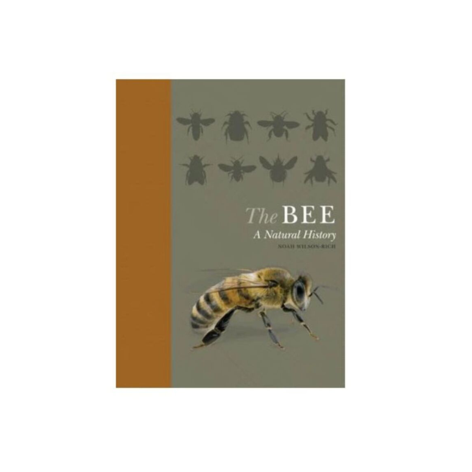 Cover of the book 'The Bee: A Natural History,' featuring a detailed illustration of a bee against a simple, light background.
