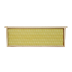 A yellow, shallow assembled beehive frame with a Ritecell foundation, typically used for beekeeping.