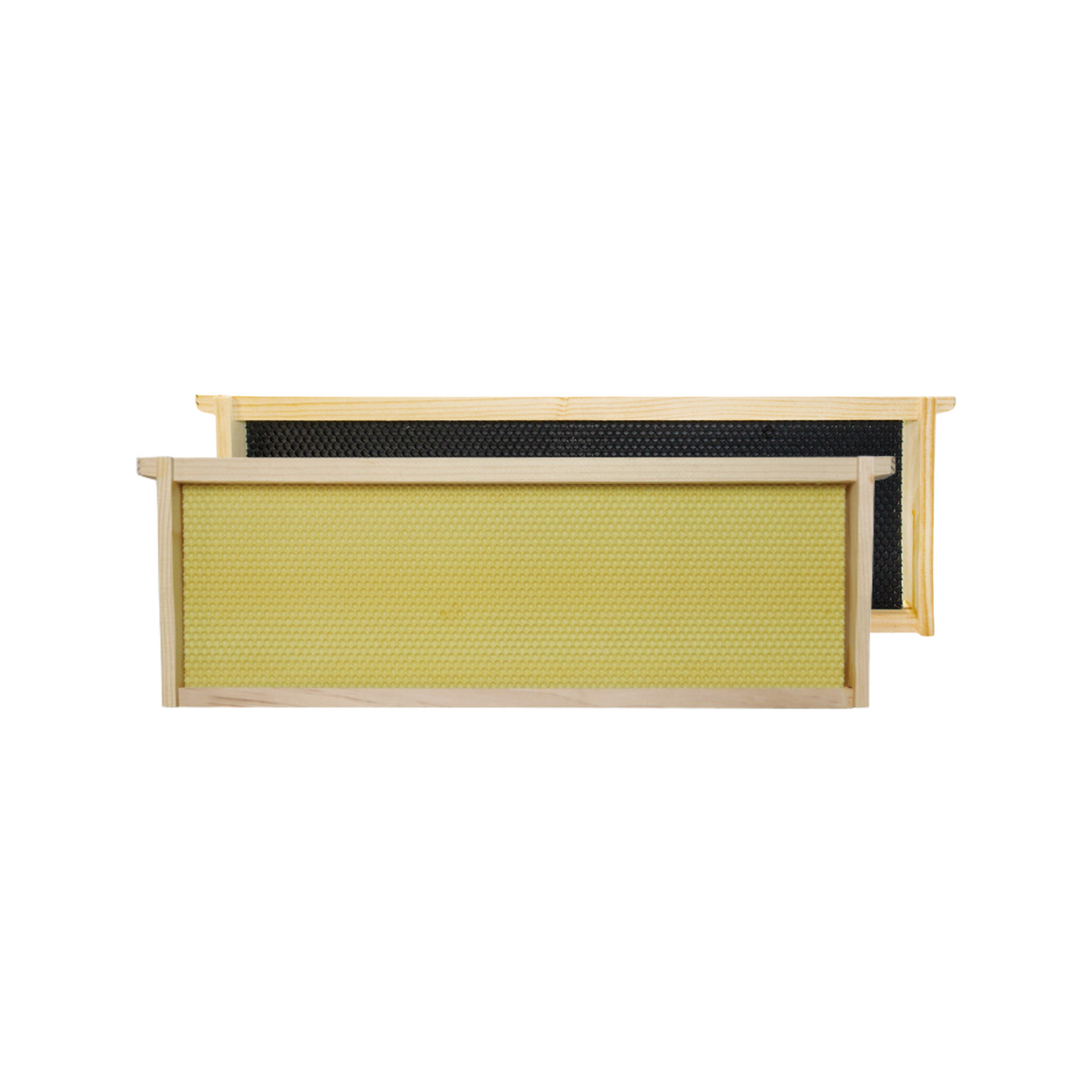Two shallow assembled beehive frames with Ritecell foundations, one black and one yellow, typically used for beekeeping.