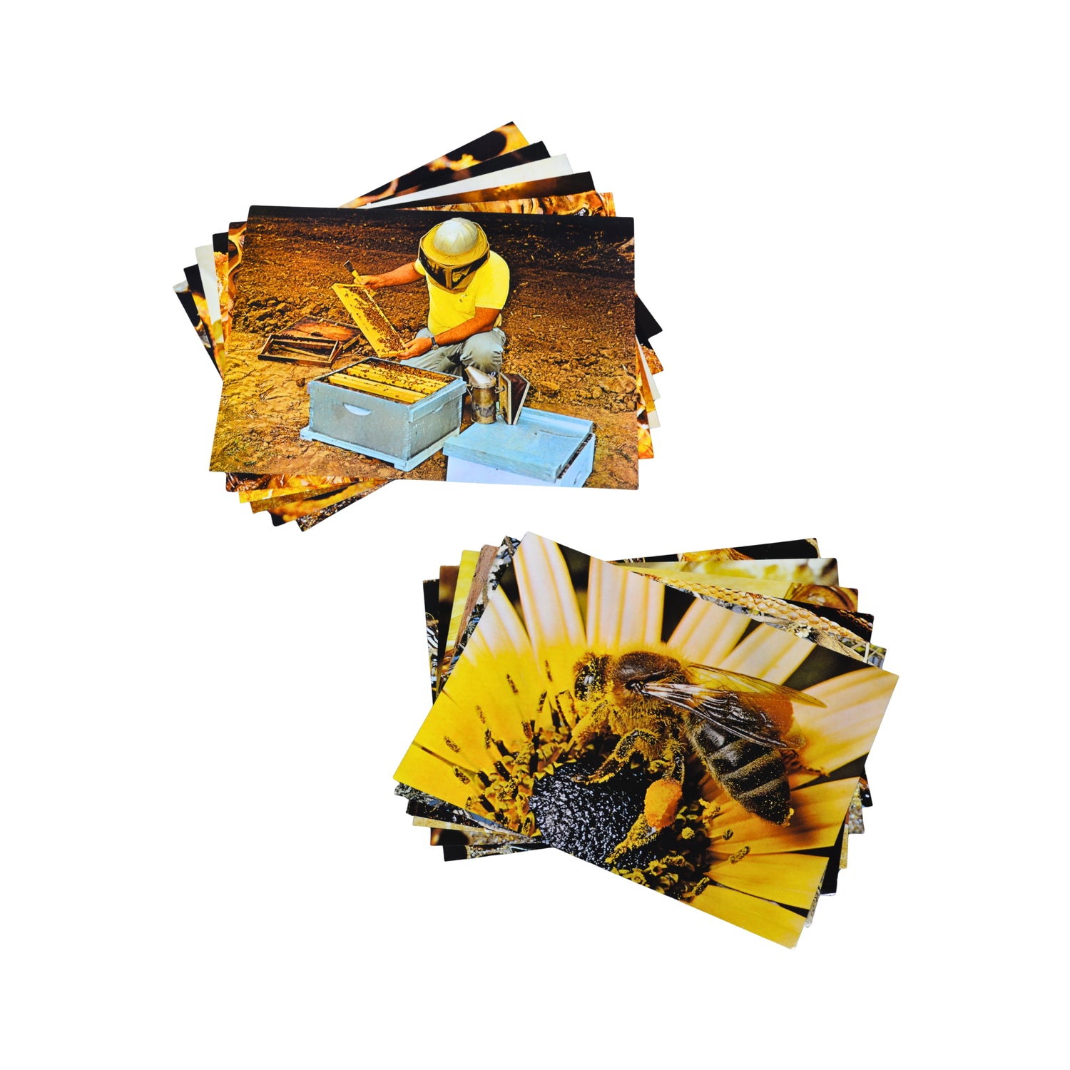 Two stacks of rectangular printed cards or photos on a plain white background. The top stack shows a beekeeper working with bee boxes in a warm-toned outdoor scene, and the bottom stack shows a close-up of a bee on a yellow flower.