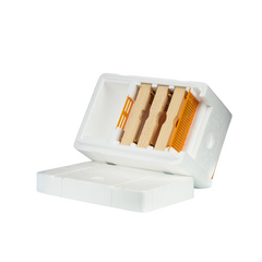 A white, Styrofoam nuc box with the top resting beside to display the interior, on a white background