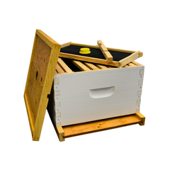 A beekeeping starter bit featuring a beehive box, an inner cover, a bottom board, a wooden entrance reducer, 10 frames, and a yellow plastic plug on a white background