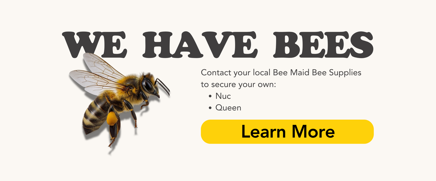 Graphic promoting the sale of bees on an off-white background