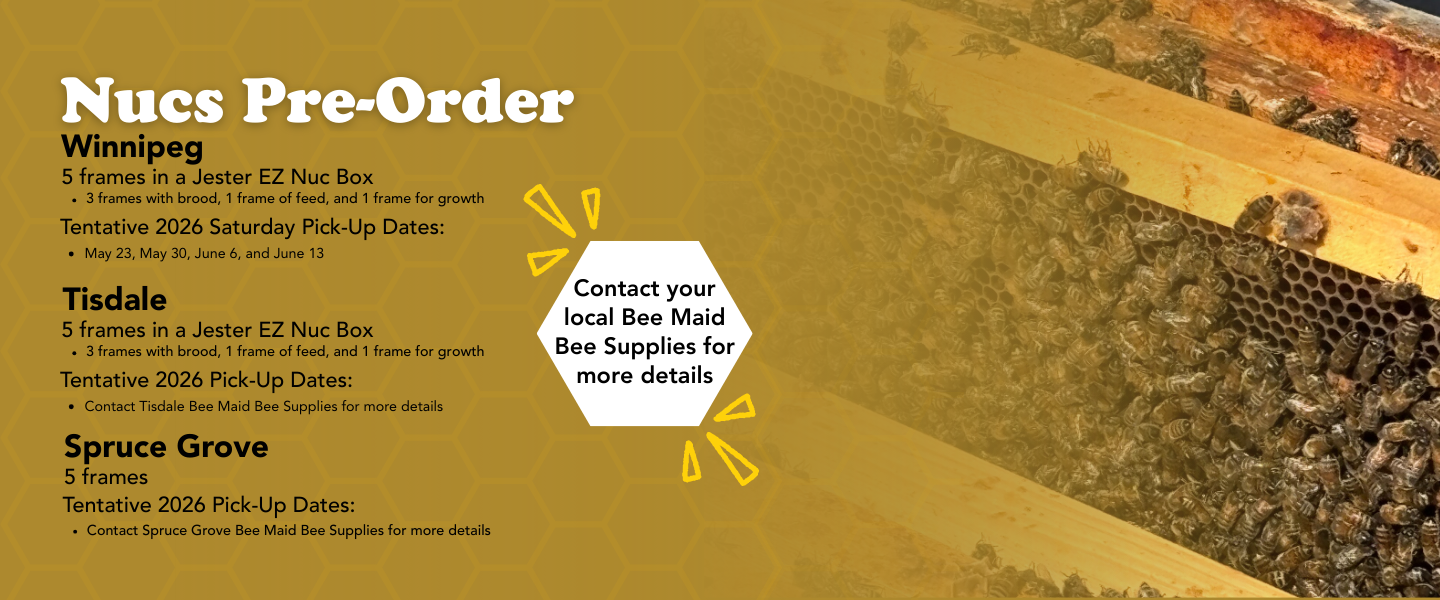 Promotional banner with text 