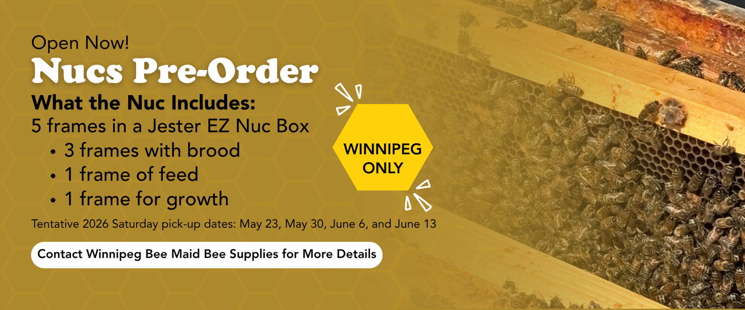 Promotional banner with text 