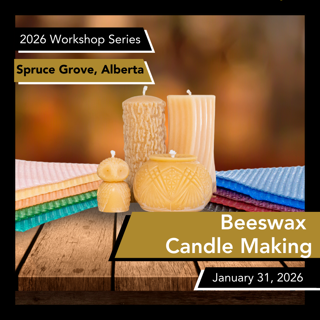 Promotional image for a beeswax candle making workshop in Spruce Grove, Alberta on January 31, 2026.