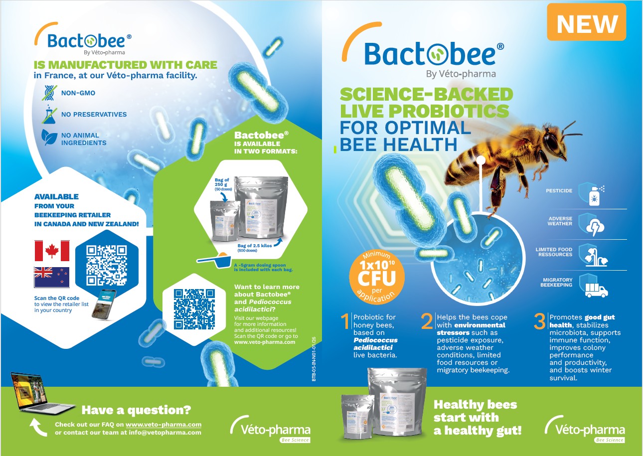 Bactobee product packaging with bee illustration and text about live probiotics for bee health.