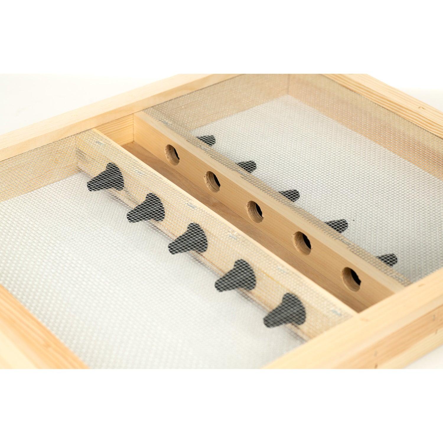 Bee Escape Board (Conical Style)